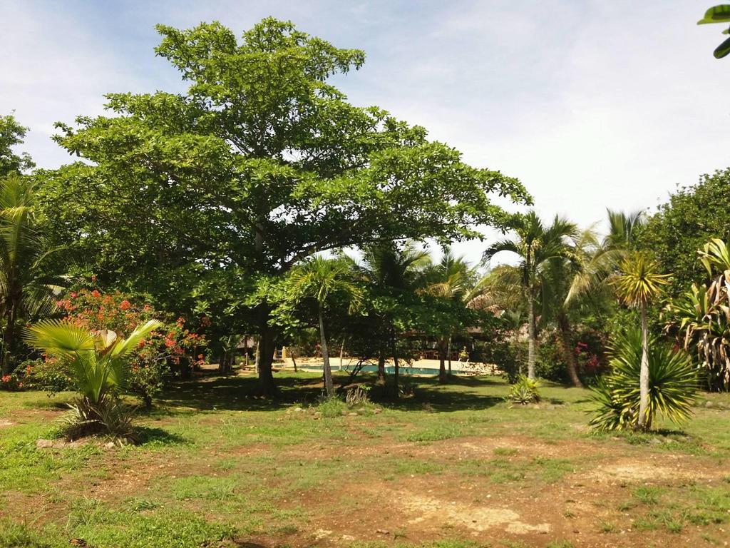 Kalipayan Beach Resort & Atlantis Dive Center Panglao Exterior foto