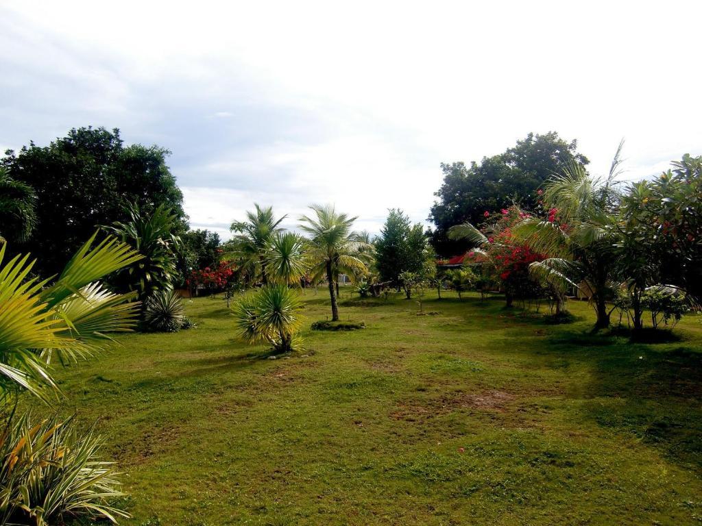Kalipayan Beach Resort & Atlantis Dive Center Panglao Exterior foto