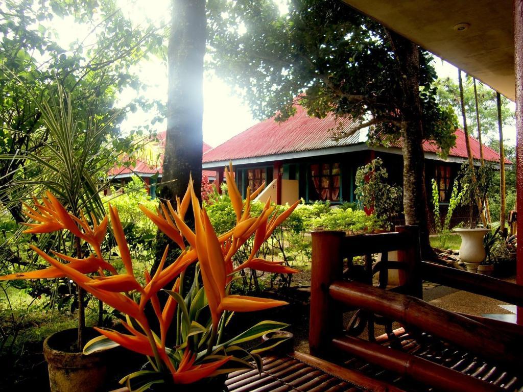 Kalipayan Beach Resort & Atlantis Dive Center Panglao Exterior foto